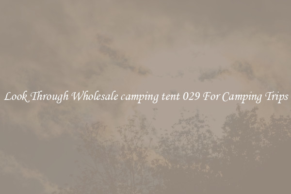 Look Through Wholesale camping tent 029 For Camping Trips