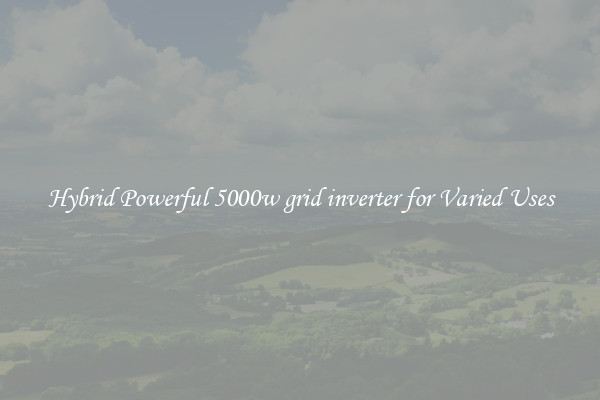 Hybrid Powerful 5000w grid inverter for Varied Uses