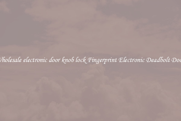 Wholesale electronic door knob lock Fingerprint Electronic Deadbolt Door 