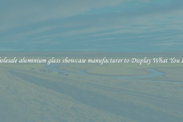 Wholesale aluminium glass showcase manufacturer to Display What You Like