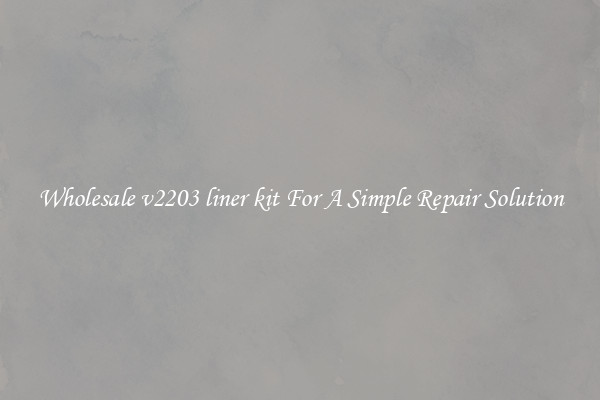 Wholesale v2203 liner kit For A Simple Repair Solution