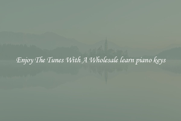 Enjoy The Tunes With A Wholesale learn piano keys