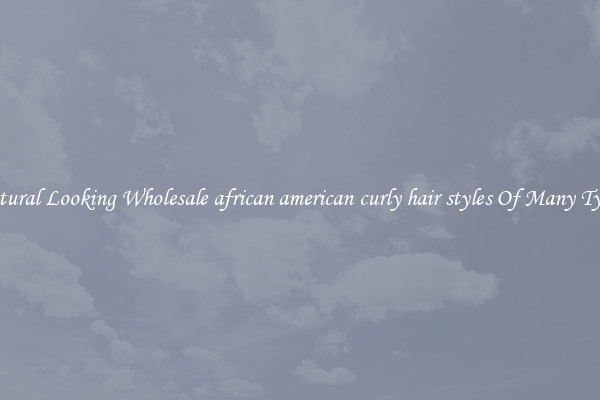Natural Looking Wholesale african american curly hair styles Of Many Types