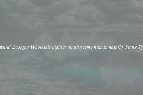 Natural Looking Wholesale highest quality remy human hair Of Many Types