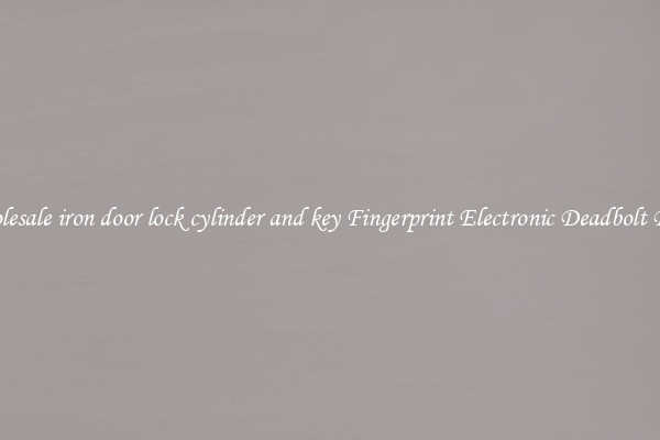 Wholesale iron door lock cylinder and key Fingerprint Electronic Deadbolt Door 