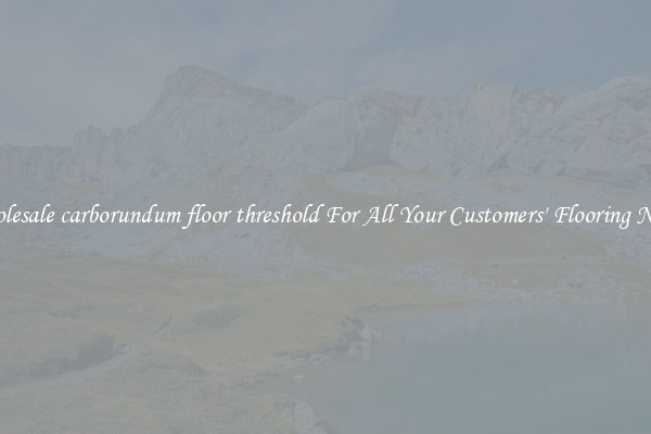 Wholesale carborundum floor threshold For All Your Customers' Flooring Needs