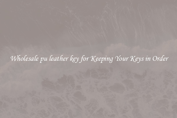 Wholesale pu leather key for Keeping Your Keys in Order