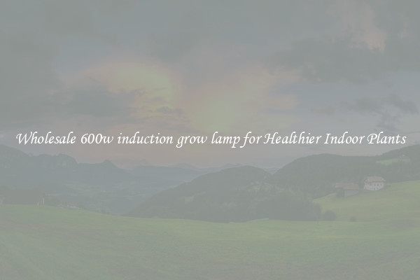 Wholesale 600w induction grow lamp for Healthier Indoor Plants