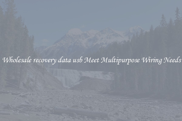 Wholesale recovery data usb Meet Multipurpose Wiring Needs