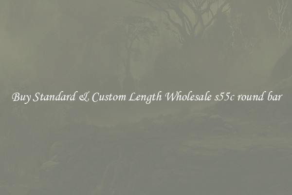 Buy Standard & Custom Length Wholesale s55c round bar