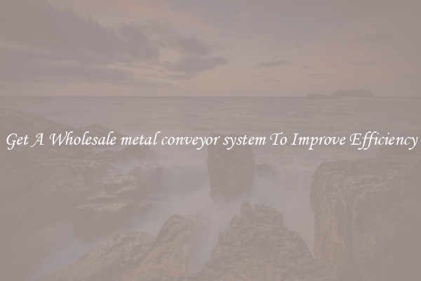 Get A Wholesale metal conveyor system To Improve Efficiency