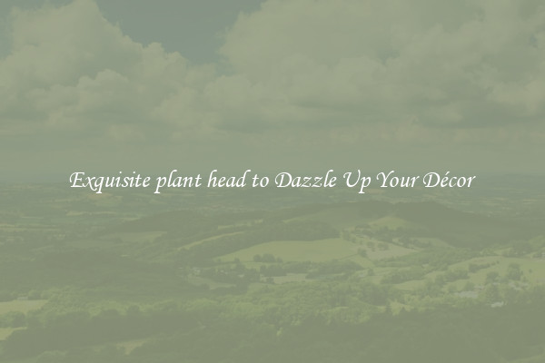 Exquisite plant head to Dazzle Up Your Décor 