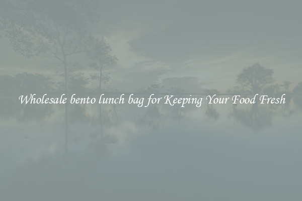 Wholesale bento lunch bag for Keeping Your Food Fresh
