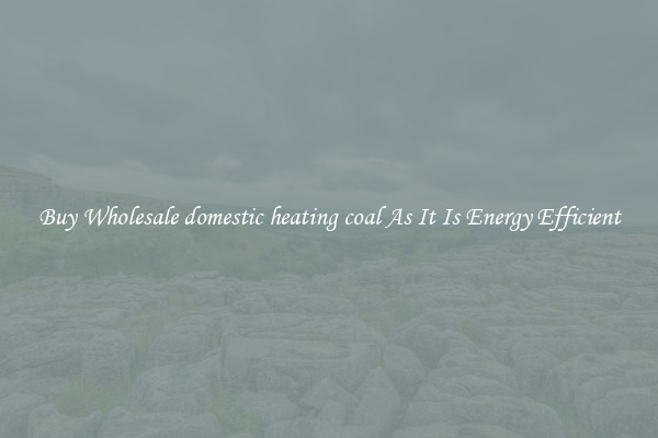 Buy Wholesale domestic heating coal As It Is Energy Efficient