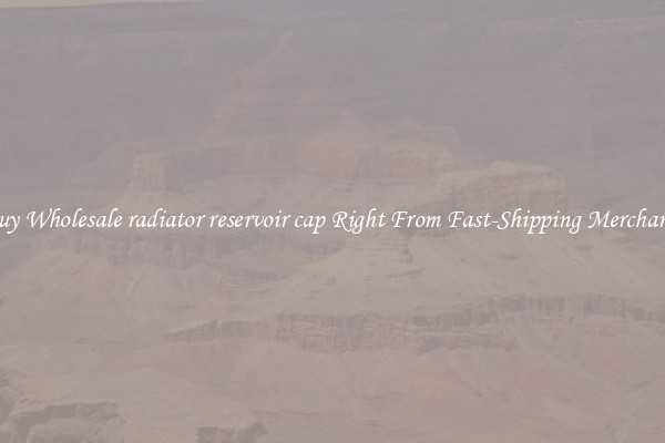 Buy Wholesale radiator reservoir cap Right From Fast-Shipping Merchants