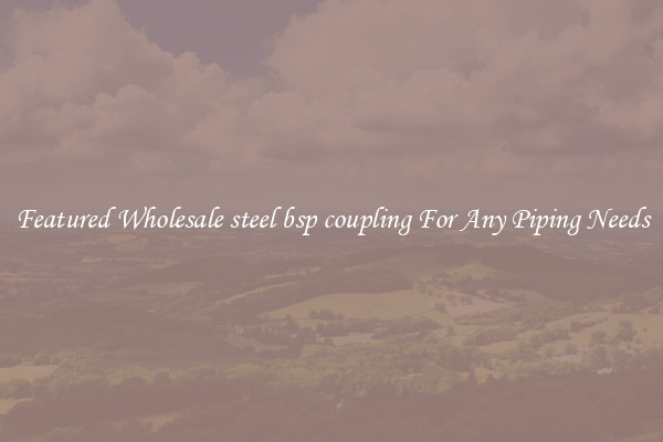Featured Wholesale steel bsp coupling For Any Piping Needs