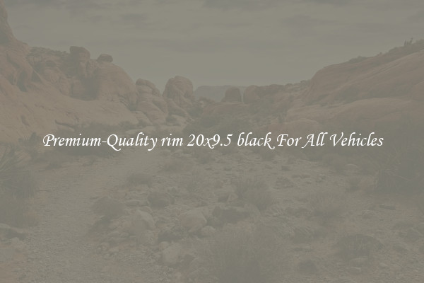Premium-Quality rim 20x9.5 black For All Vehicles