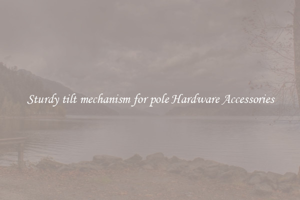Sturdy tilt mechanism for pole Hardware Accessories